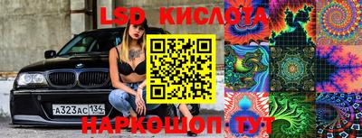 прущие грибы Кулебаки