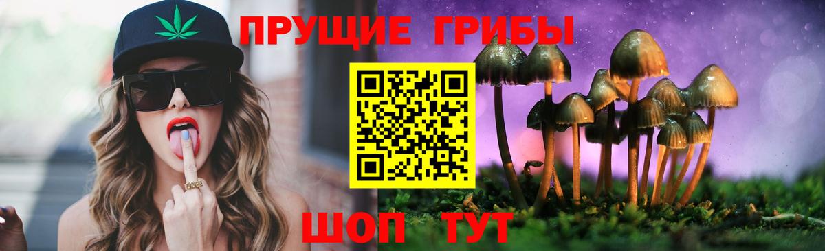 Галлюциногенные грибы Cubensis  Псилоцибиновые грибы Cubensis  Димитровград  Вход с VPN 
